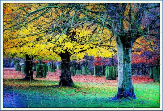 A DIGITAL JIGSAW - AUTUMN COLOURS