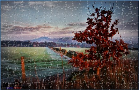 JIGSAW - FROM COPPER BEECH TO VICTORIA TOWER