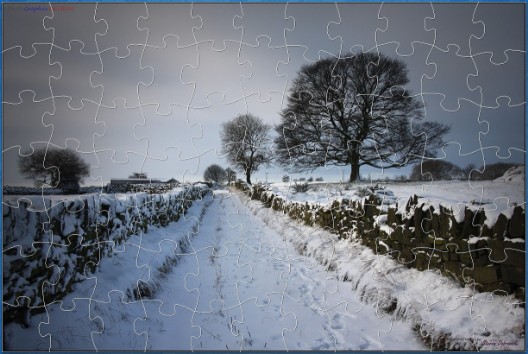 A DIGITAL JIGSAW - FOOTSTEPS IN THE SNOW