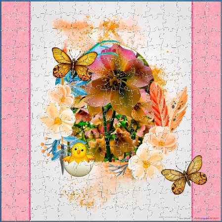 JIGSAW - A CHRISTMAS ROSE IN CELEBRATION OF SPRING