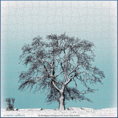 JIGSAW - IN WINTER'S EMBRACE