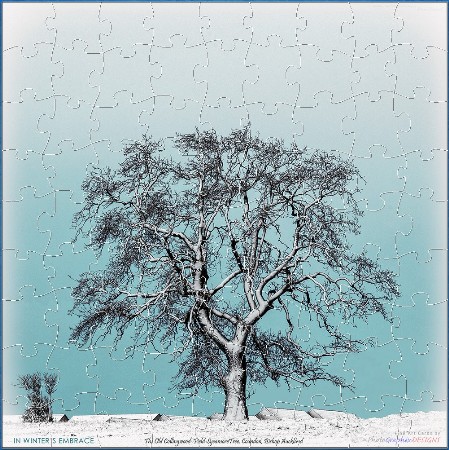 JIGSAW - IN WINTER'S EMBRACE
