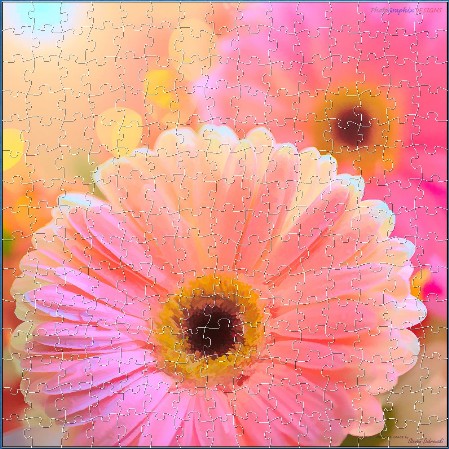 JIGSAW - PINK GERBERAS - A Touch of Grace